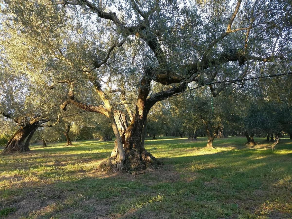 Agriturismo La Villetta San Lorenzo Nuovo Extérieur photo