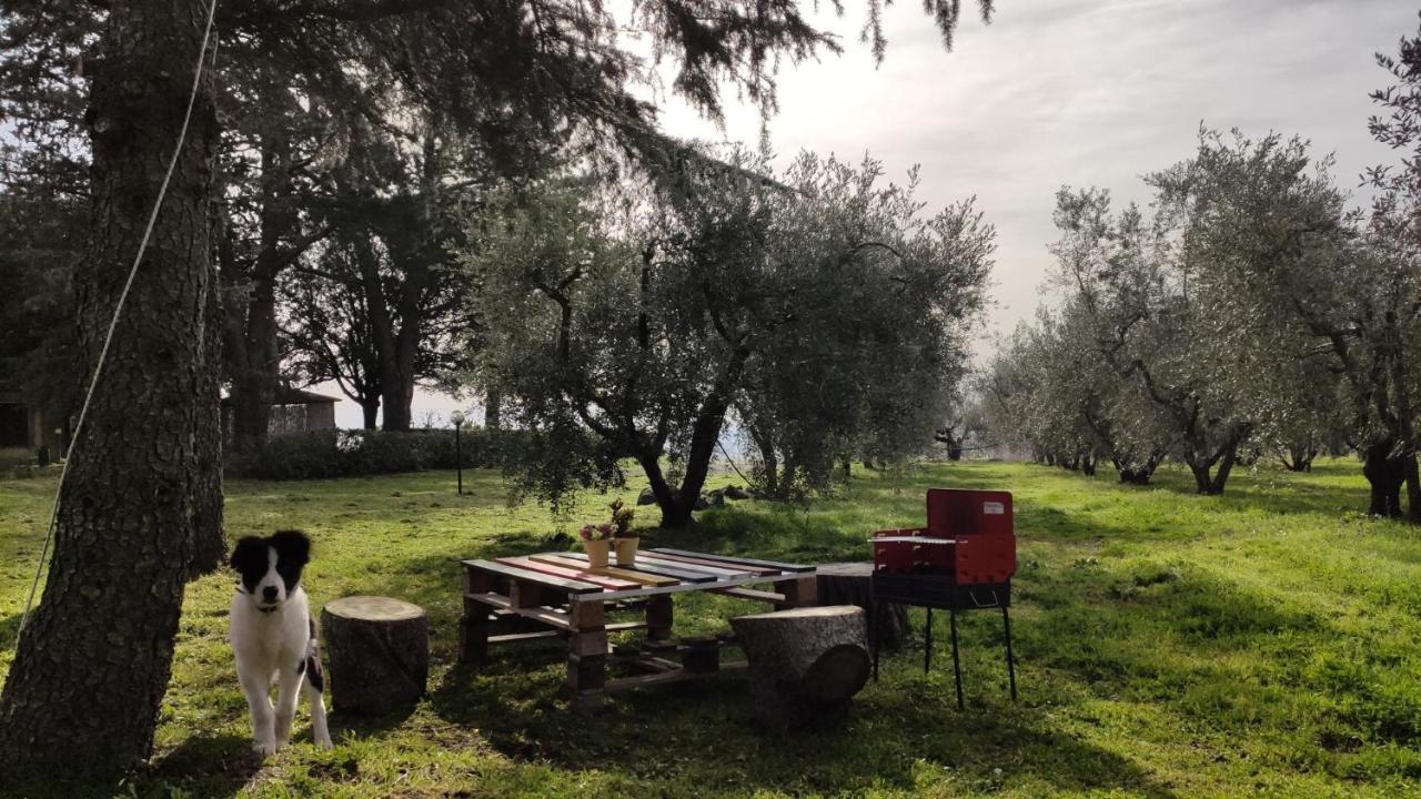 Agriturismo La Villetta San Lorenzo Nuovo Extérieur photo