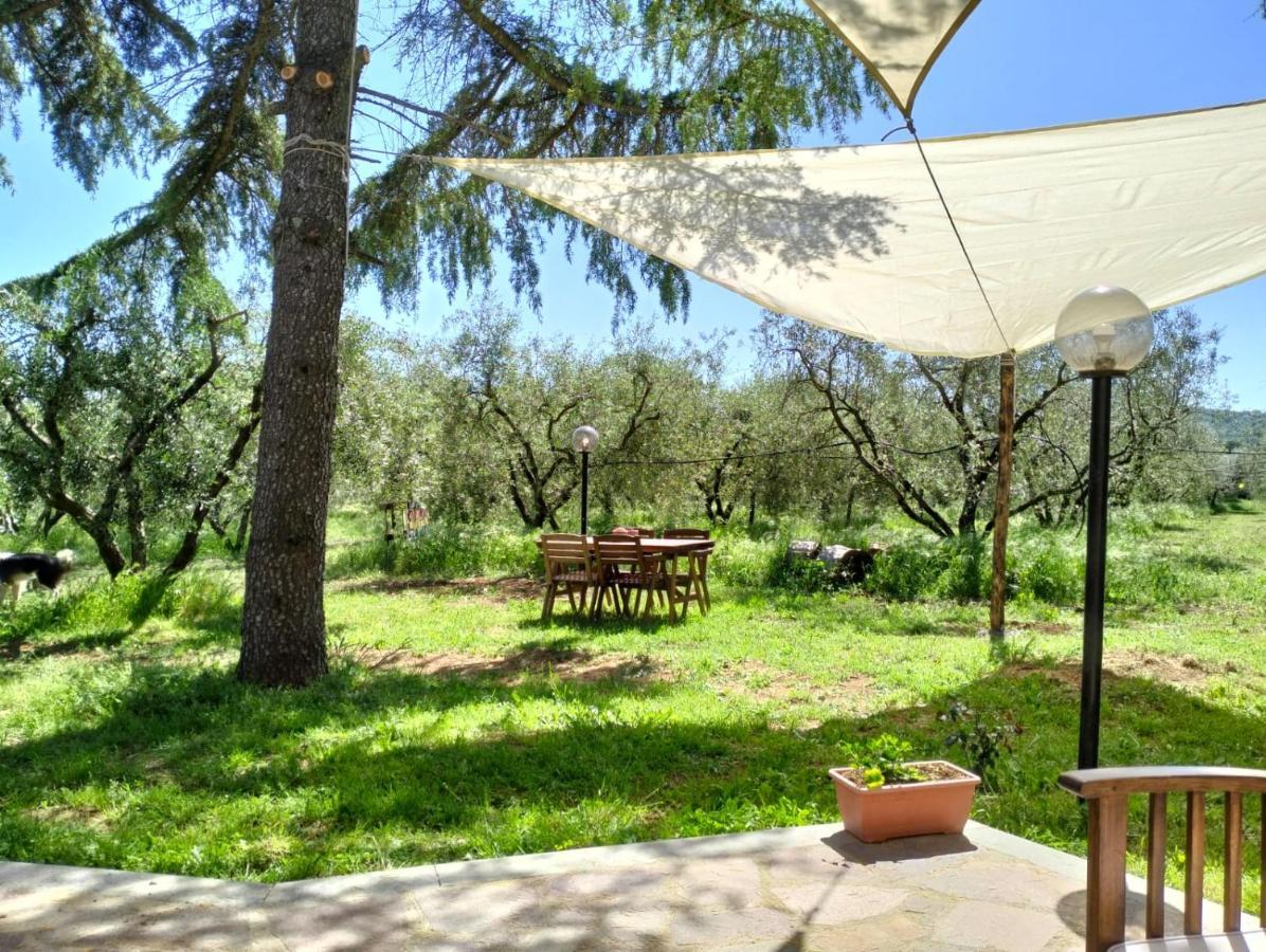 Agriturismo La Villetta San Lorenzo Nuovo Extérieur photo