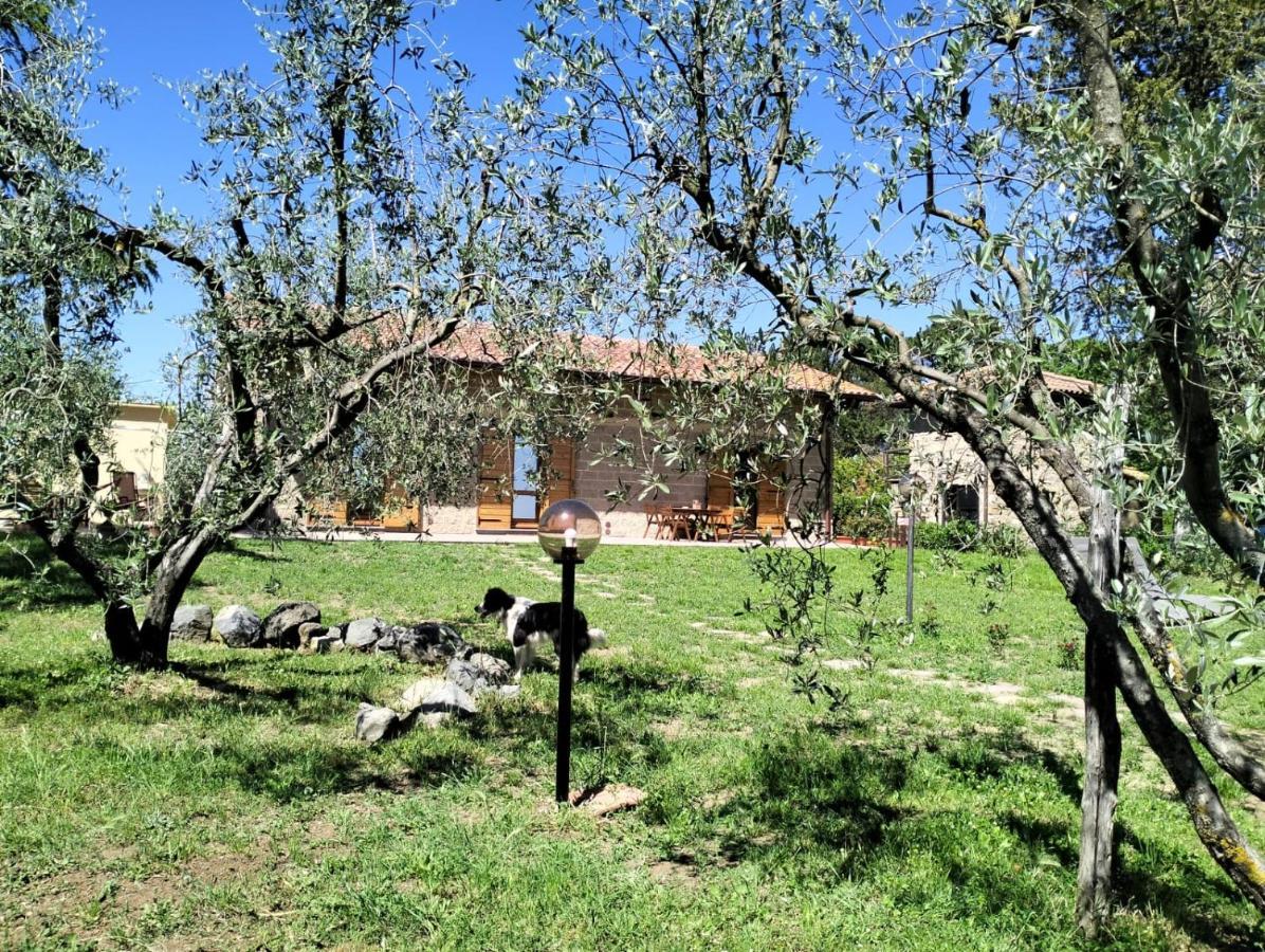 Agriturismo La Villetta San Lorenzo Nuovo Extérieur photo
