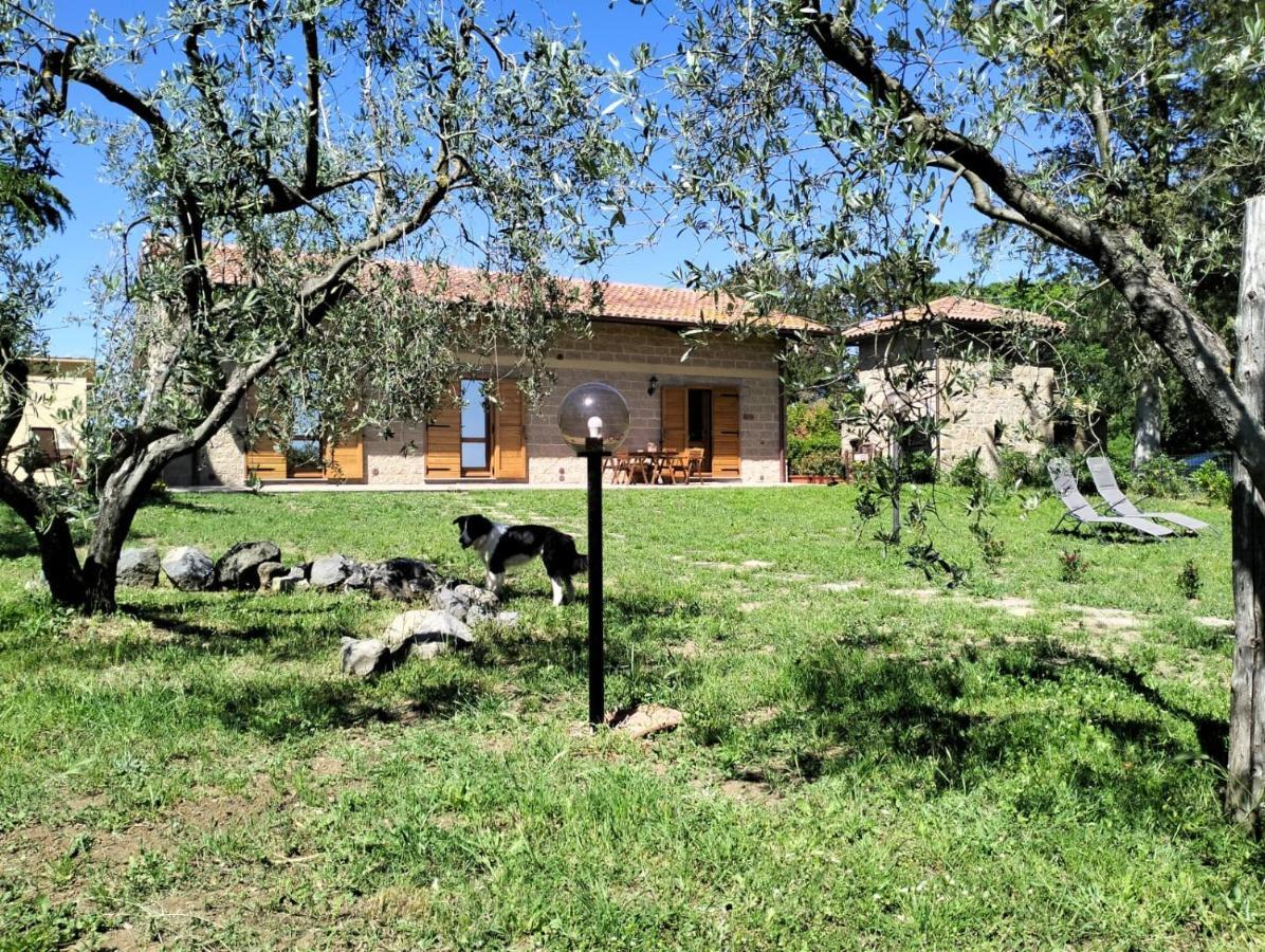 Agriturismo La Villetta San Lorenzo Nuovo Extérieur photo
