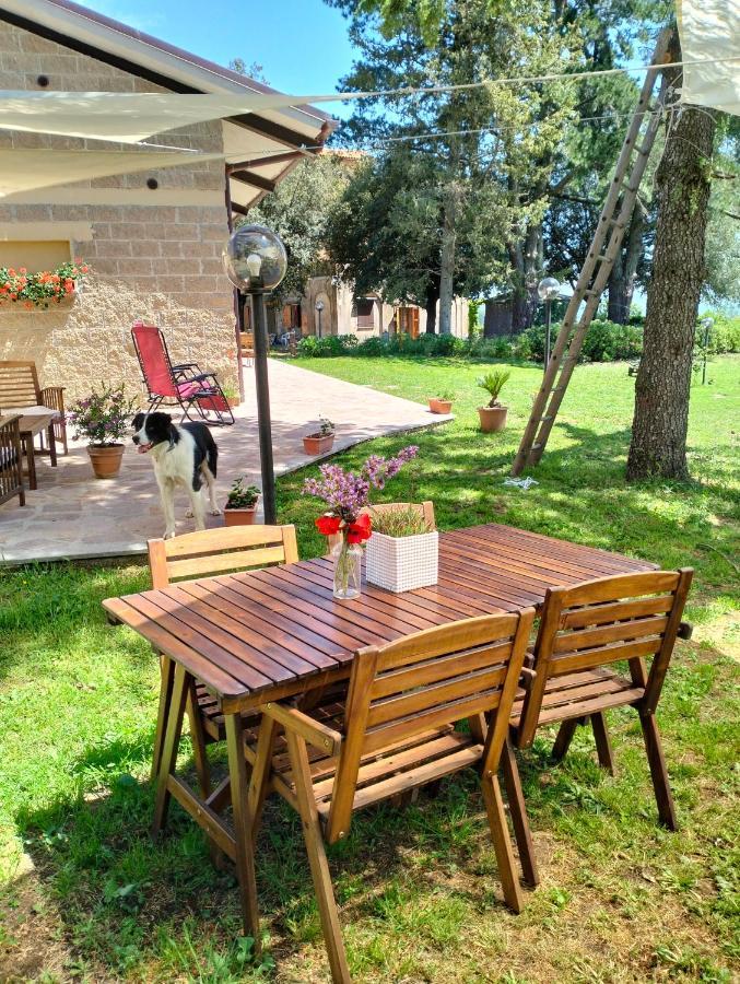 Agriturismo La Villetta San Lorenzo Nuovo Extérieur photo